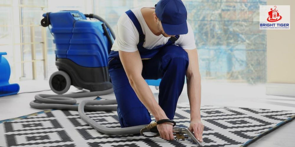 The Role of Professional Carpet Dry Cleaning in Allergy Prevention